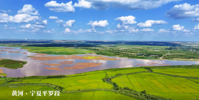 寧夏平羅：九曲黃河潤沃野 兩岸風(fēng)光似畫廊