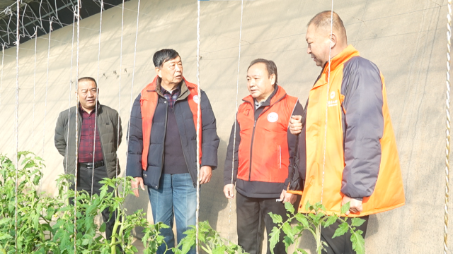 自治區(qū)專家深入一線送技術(shù)